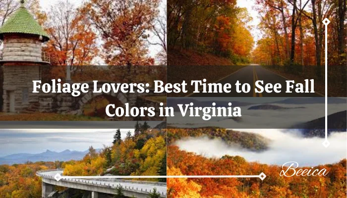Foliage Lovers: Best Time to See Fall Colors in Virginia